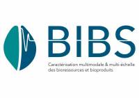 BIBS logo